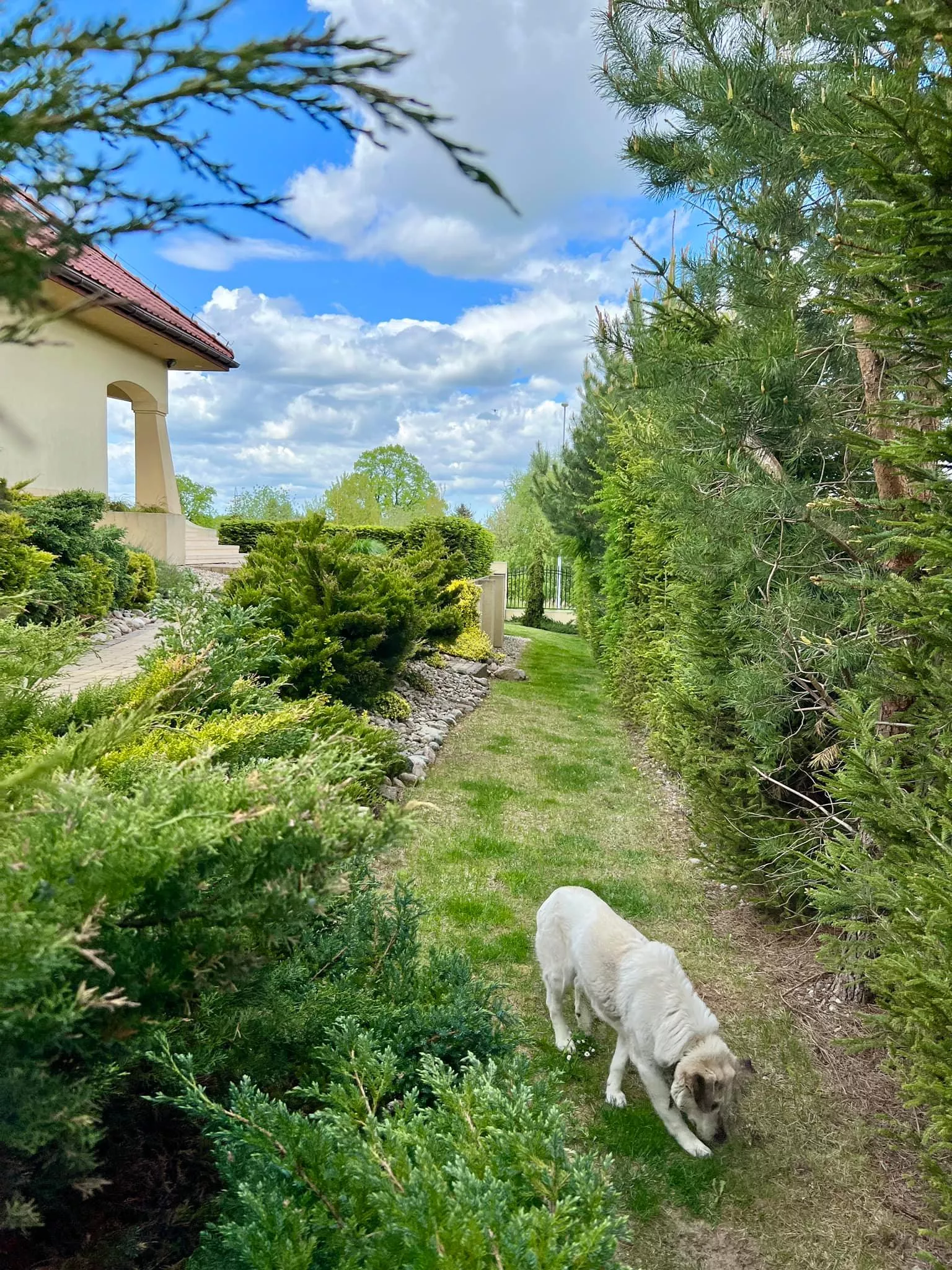 Gwiazda disco polo pochwaliła się wielkim, rajskim ogrodem! Wiemy kto go zaprojektował! Jest wyjątkowy! [ZDJĘCIA]